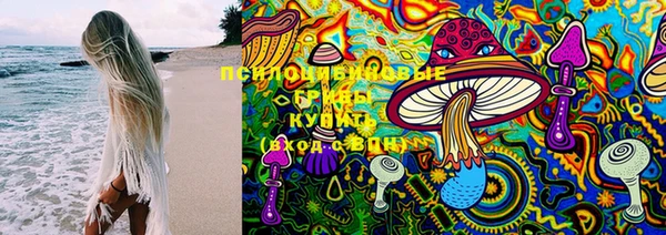 метамфетамин Алексеевка