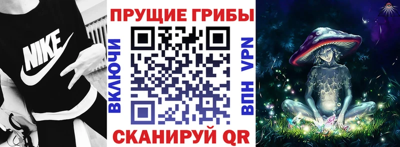 omg ссылка  магазин продажи   Хвалынск  Псилоцибиновые грибы Magic Shrooms 